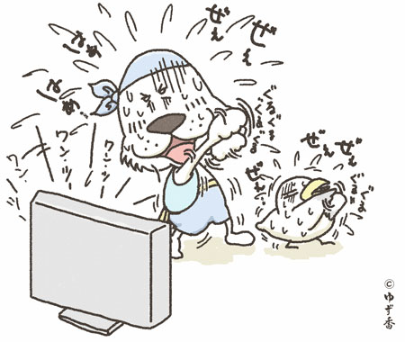 キャプテンわん過去記事サムネイル