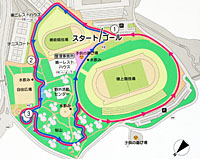 トリムコースは公園内を走るコースです。