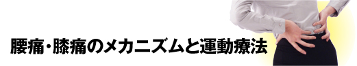 スポーツ医科学センター　メタボリックシンドロームと食事②