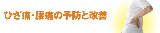 スポーツ医科学センター　ひざ痛・腰痛の予防と改善