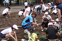 子供たちの作業を温かく見守る武岡選手
「早く育ってくれるといいね！」