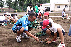 子供たちと協力しながら芝の苗を植える難波選手