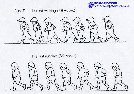 （図1）　疾走能力の発達　宮丸凱史より