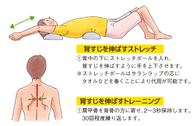 背すじを伸ばすストレッチ
①背中の下にストレッチポールを入れ、
　背すじを伸ばすように手を上下させます。
※ストレッチポールはサランラップの芯に
　タオルなどを巻くことにより代用が可能です。
背すじを伸ばすトレーニング
①肩甲骨を背骨の方に寄せ、2〜3秒保持します。
　30回程度繰り返します。