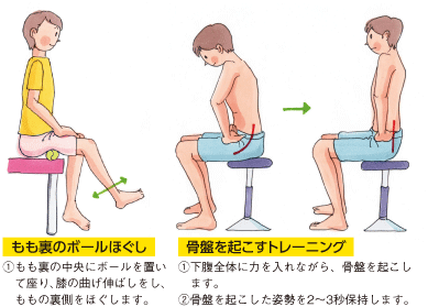 もも裏のボールほぐし
①もも裏の中央にボールを置いて座り、膝の曲げ伸ばしをし、ももの裏側をほぐします。
骨盤を起こすトレーニング
①下腹全体に力を入れながら、骨盤を起こします。
②骨盤を起こした姿勢を2〜3秒保持します。