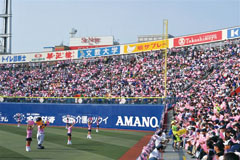 横浜ベイスターズ　ピンクリボン活動