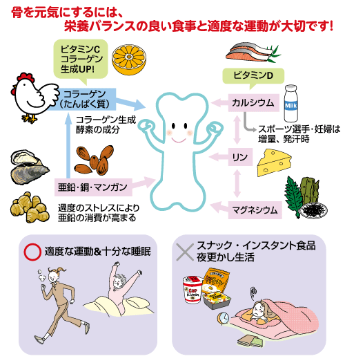 骨を元気にするには、栄養バランスの良い食事と適度な運動が大切です！