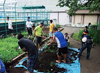 Tree care by workshop participants