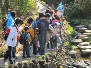 荒井沢の森探検隊