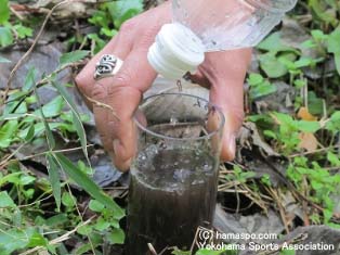 荒井沢の森探検隊