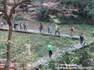 荒井沢の森探検隊