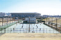 Information on Tennis Courts in Yokohama City