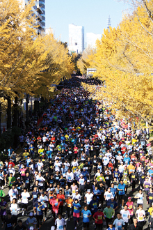 昨年の大会はあわせて8,694名のランナーが横浜の街を駆け抜けました。