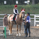 三ツ沢公園馬術練習場<br />
　横浜ホースフェスティバル