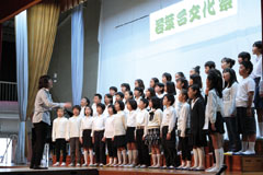 Stage performance during the cultural festival