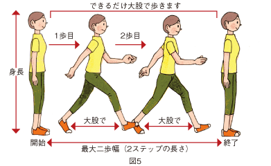 歩幅の広さ