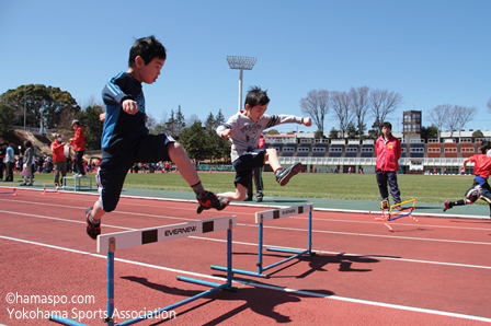 Dream Park in ヨコハマ