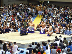 Yokohama Cultural Gymnasium