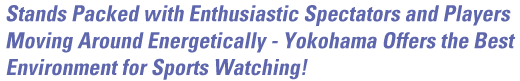 Stands Packed with Enthusiastic Spectators and Players Moving Around Energetically - Yokohama Offers the Best Environment for Sports Watching!