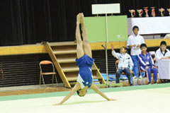 2014全日本ジュニア体操競技選手権大会・東西決勝大会