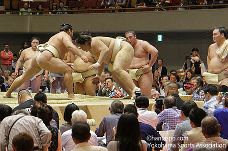 えのきどいちろうの横浜スポーツウォッチング