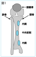 図1