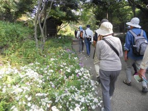 ②野の花苑