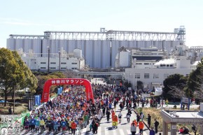 20160207神奈川マラソン (419)