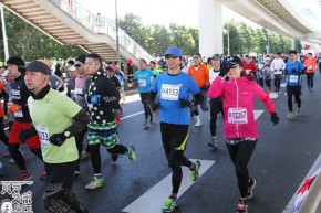 20160207神奈川マラソン (1102)