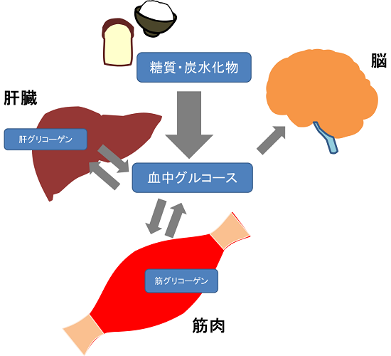 メカニズム