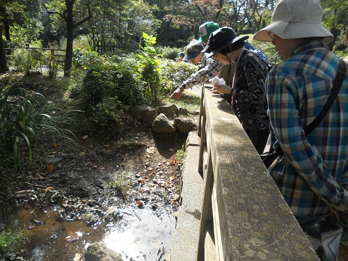 三ツ沢公園