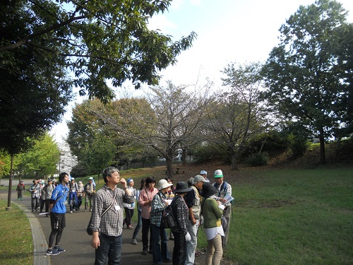 片倉うさぎ山公園