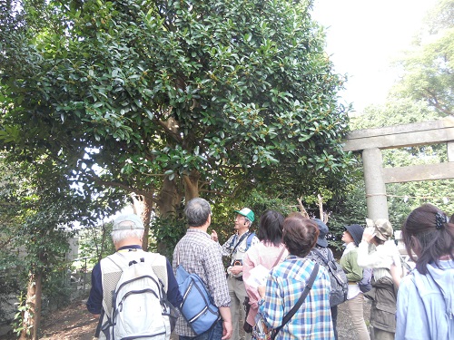 神明社