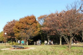 ⑤太尾見晴らしの丘公園