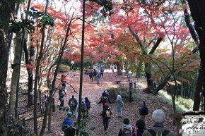 イベントレポート過去記事サムネイル